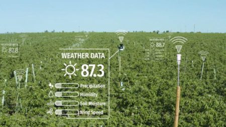 A family farm equipped with IoT capabilities.